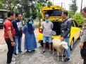 Polisi Tangkap Pasutri Curhewan Kambing dengan Mobil Mewah
