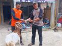 Perhutani KPH Lawu Ds Gelar Gebyar Sadapan, Beri Hadiah Kambing ke Penyadap Getah Pinus