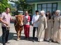 Danrem 084/BJ Serahkan Hewan Qurban ke Masjid Al-Wathon Korem 084/BJ