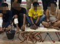 Satreskrim Polres Gresik Tangkap Komplotan Maling Kabel PLN