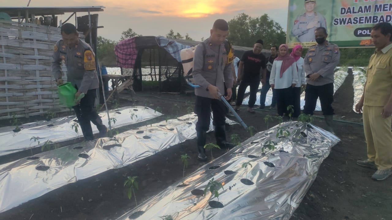 Dukung Program Ketahanan Pangan, Polres Gresik Tanam Bibit Cabai di Menganti