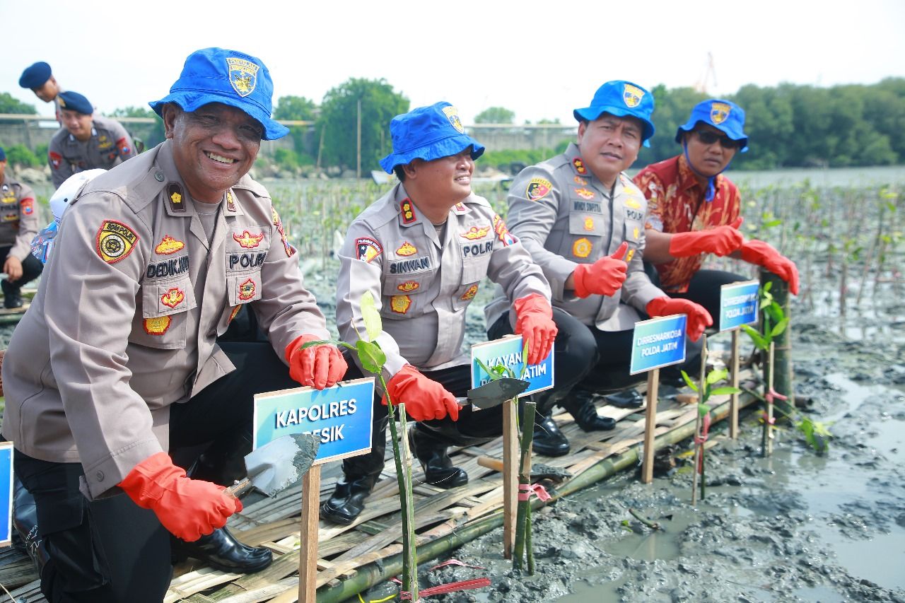 Lestarikan Lingkungan Hidup, Polda Jatim dan Polres Gresik Tanam 10.000 Mangrove