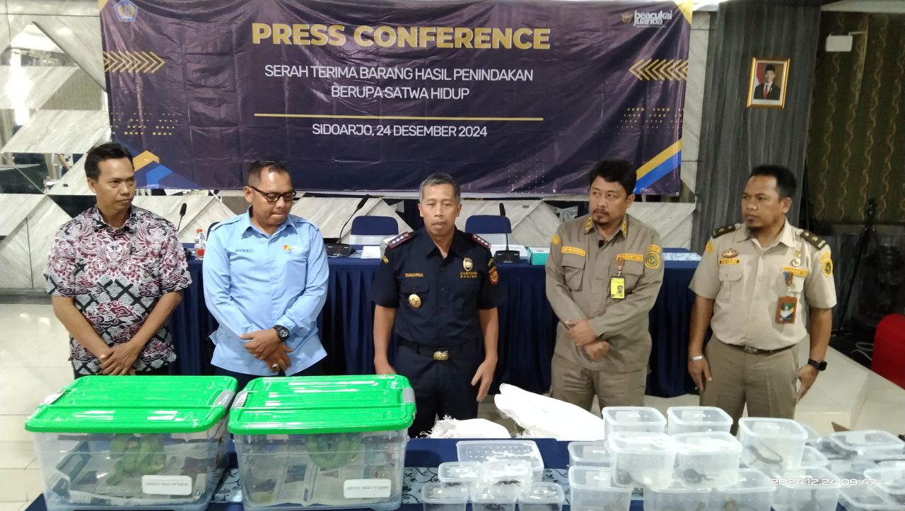 Bea Cukai Tindak Ekspor Satwa dan Serahkan ke Balai Karantina Jatim