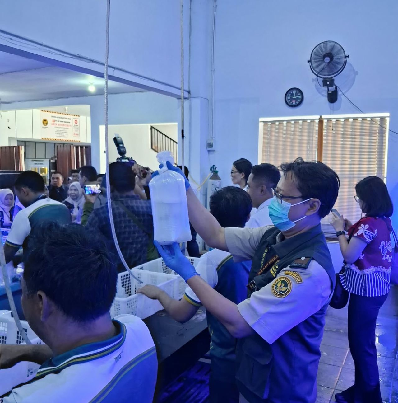 Barantin dan Kemendag Lepas Ekspor 230 Koral Hidup Banyuwangi ke Amerika Serikat