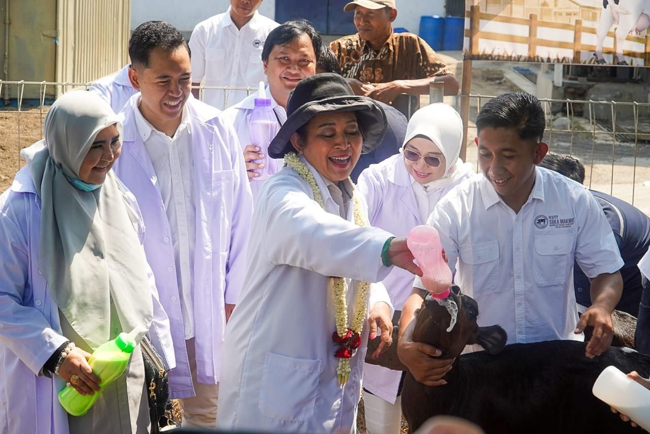 Jaga Pasokan Susu Nasional, Komisi IV dan Barantin Perkuat Biosekuriti Sapi Perah