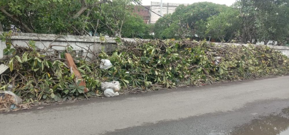 Tumpukan bekas potongan ranting kayu terlihat seperti sampah di pagar makam jalan Raya Randu