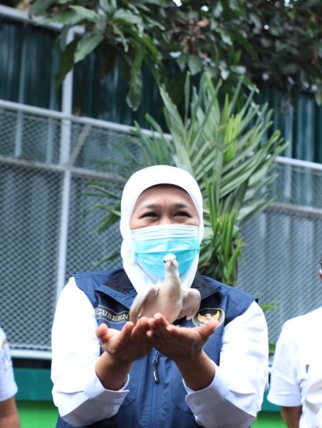 Gubernur Jatim Khofifah Indar Parawansa sedang melepas burung dara