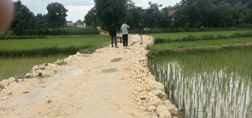 Jalan dusun Jergat desa Patapan, jalan penghubung antara dua desa