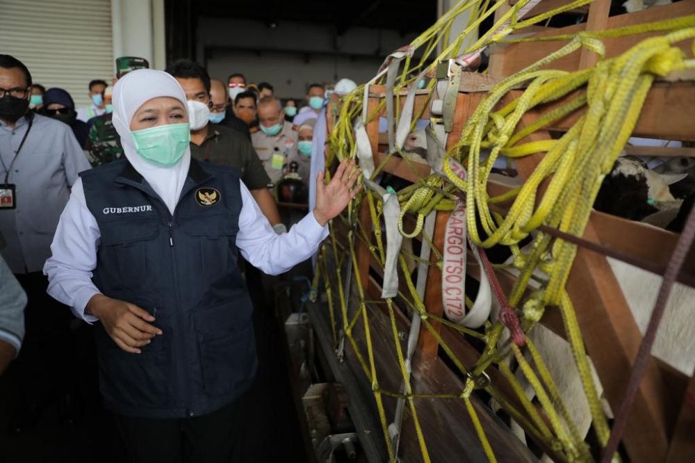 Khofifah Apresiasi Koperasi Peternak Berdayakan Unskilled Labour