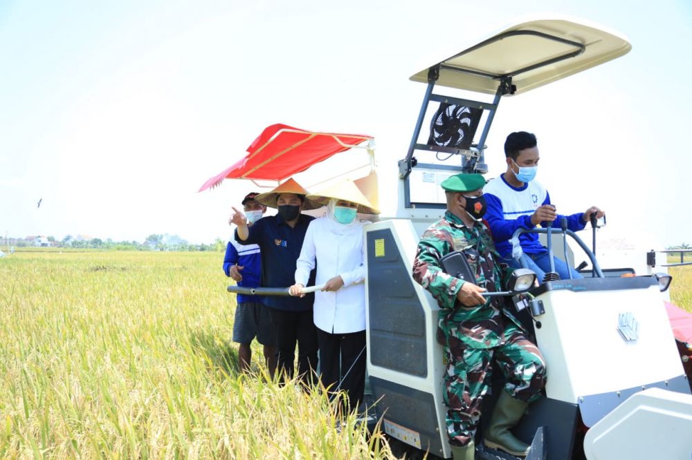 Tak Perlu Beras Import, Stok Melimpah dan Surplus Sampai Mei 2021