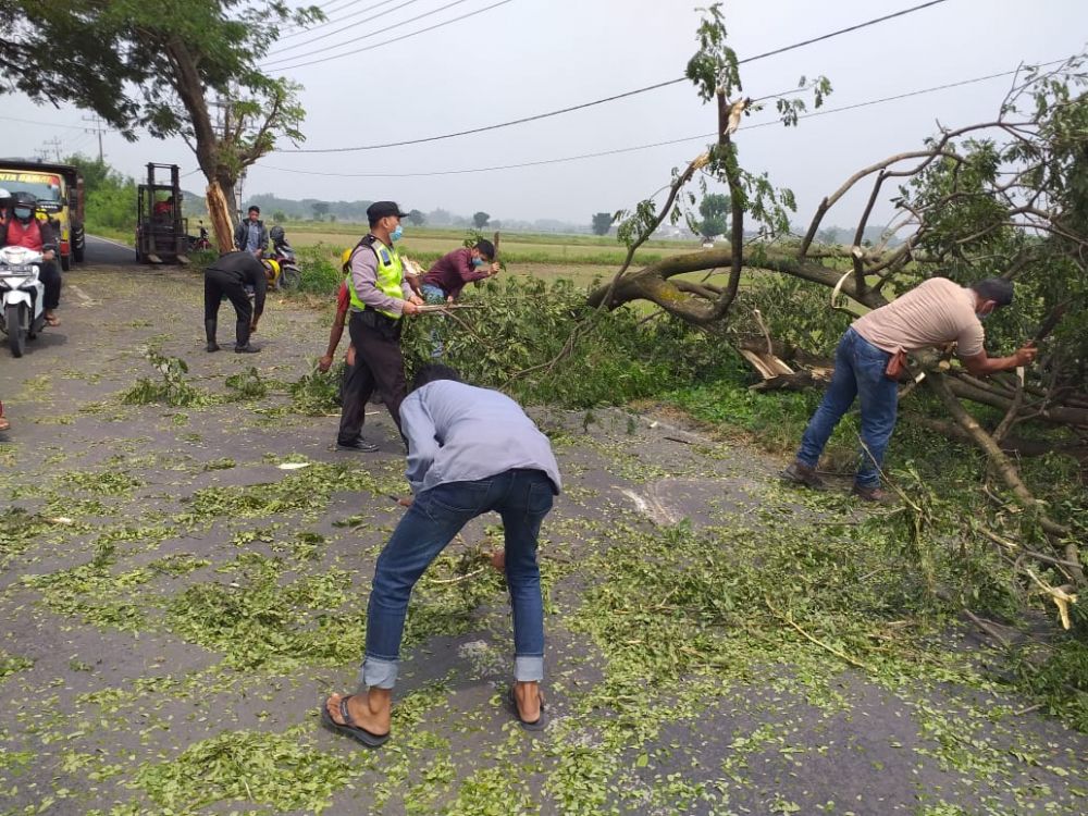 Anggota Polsek Benjeng bersinergi dengan warga bersihkan pohon tumbang yang menutup setengah badan jalan