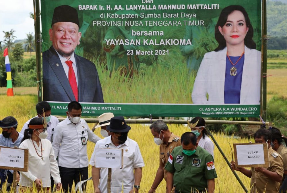 Ketua DPD RI AA LaNyalla Mahmud Mattalitti saat kunjungi areal persawahan warga