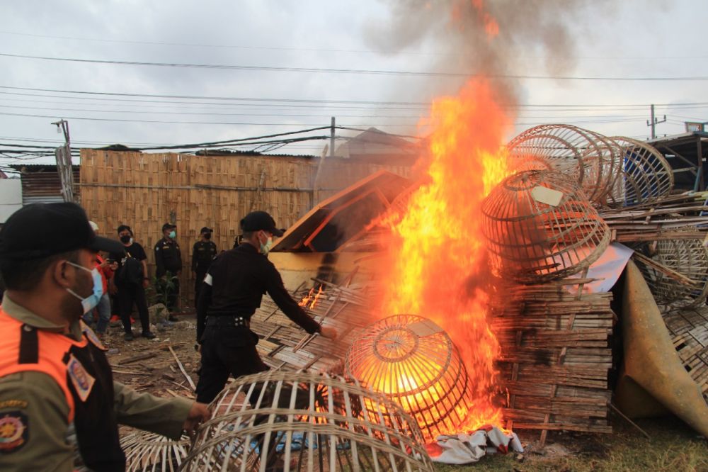 Lahan kosong tempat perjudian burung dara dipenuhi asap bekas kayu pagupon yang dibakar