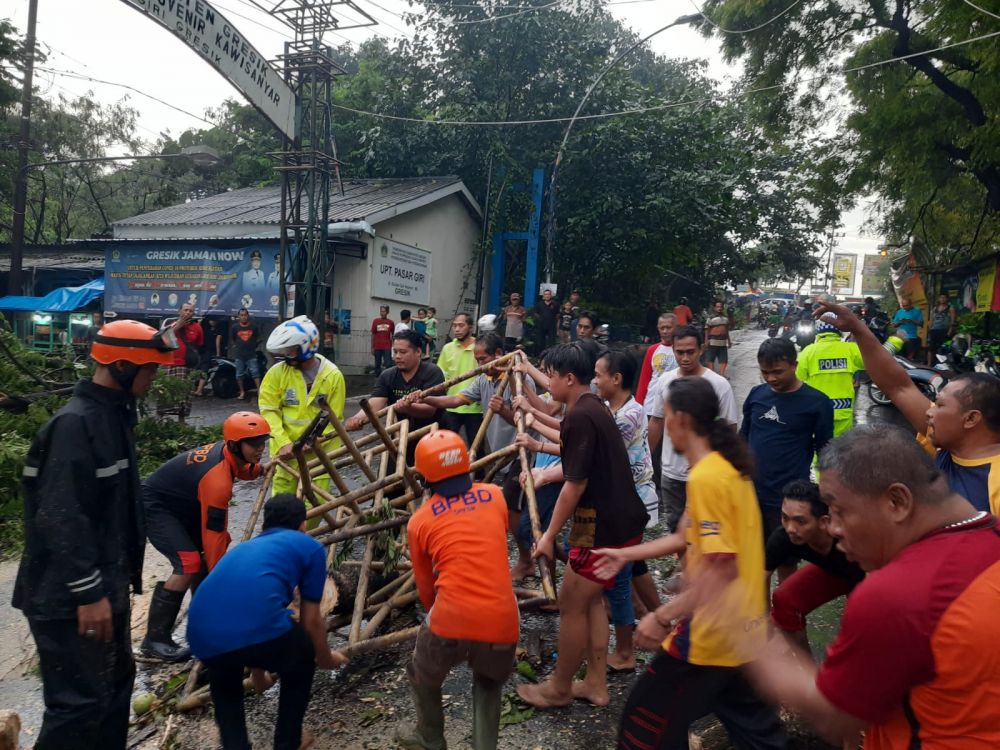 Polres Gresik gerak cepat membantu evakuasi pohon tumbang bersama BPBD
