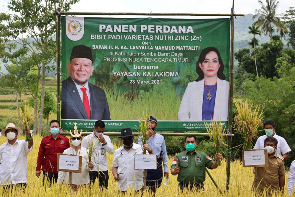 Ketua DPD RI hadiri acara Panen Raya di Weekelosowa, Sumba Barat Daya beberapa waktu lalu