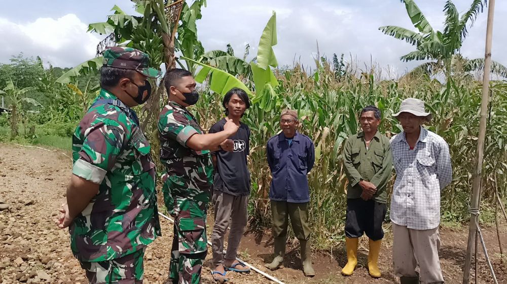 Tampak Pabandya Wanwil Kodam lll Siliwangi Mayor Kav Kiswanto, memberikan arahan dan bimbingan kepada anggota kelompok tani Sariwangi Bios 44 di Desa Naluk