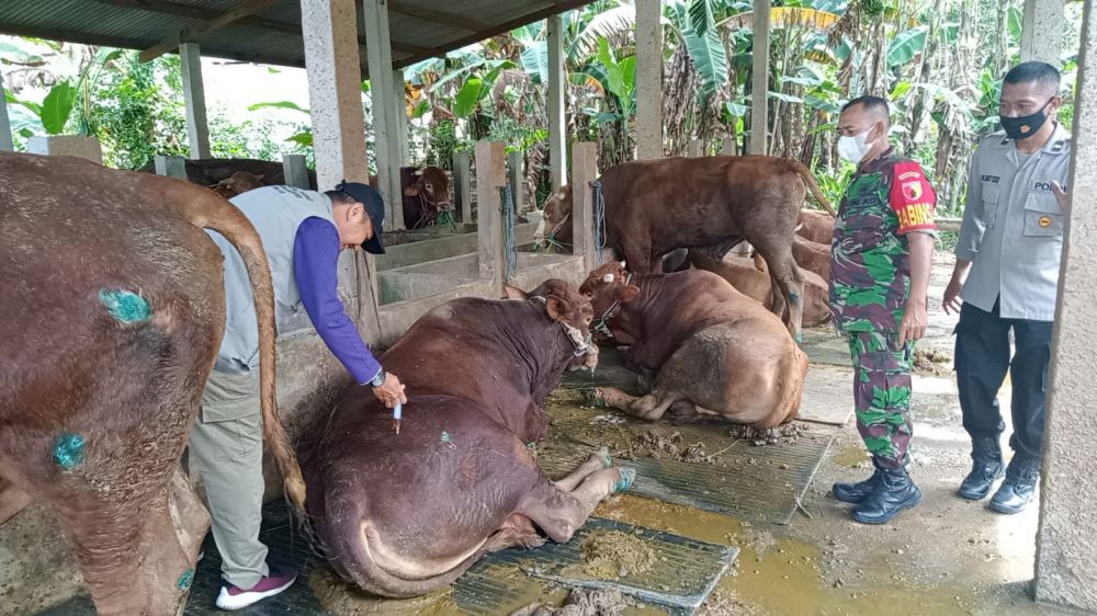 Bhabinkamtibmas dan Babinsa saat tinjau virus PMK di peternakan sapi