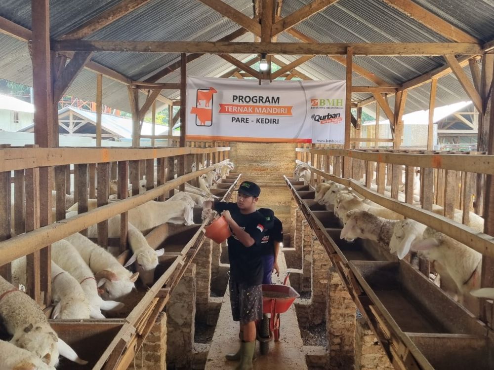 Peternakan yang dicek terkait virus PMK