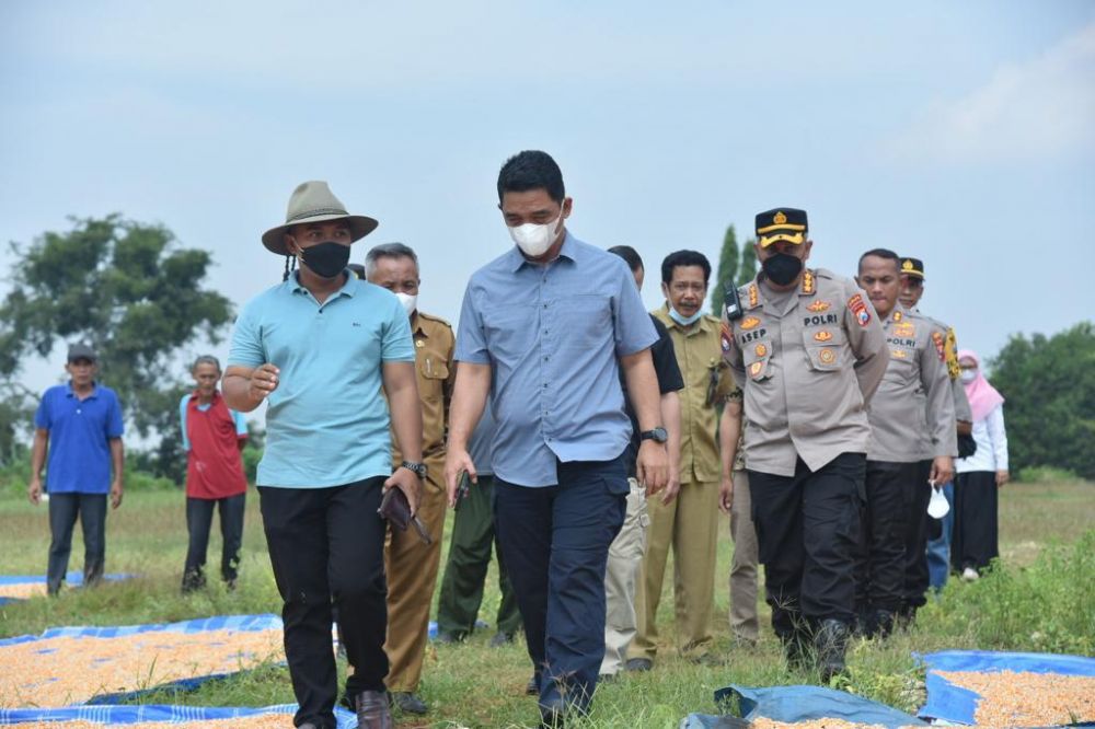 Kakorbinmas Baharkam Polri Irjen Pol Suwondo Nainggolan saat studi banding tanam jagung di Lamongan