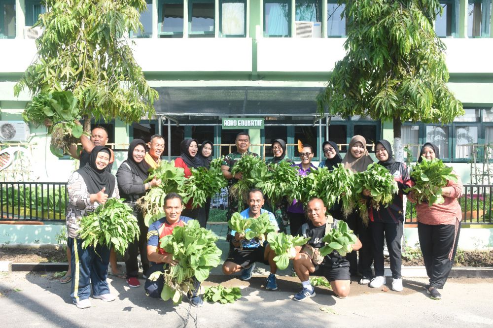 Prajurit dan PNS saat panen sayuran 