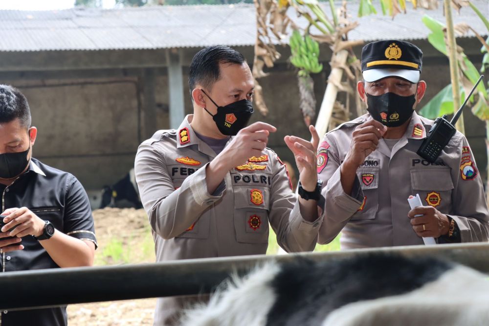 Kapolres Malang AKBP Ferli Hidayat saat tinjau hewan ternak