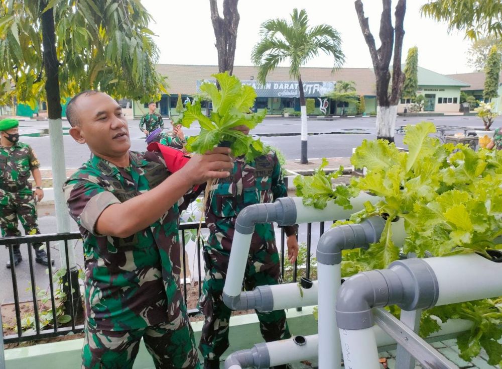 Kasrem 084/BJ Kolonel Inf H. Sugiyono saat panen sayuran hasil budidaya system Akuaponik dan Organik
