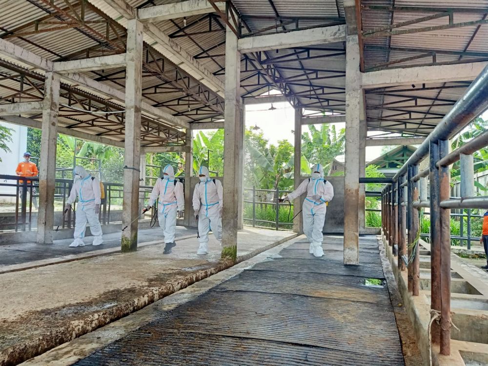 Polres Batu lakukan penyemprotan disinfektan ke kandang ternak sapi 