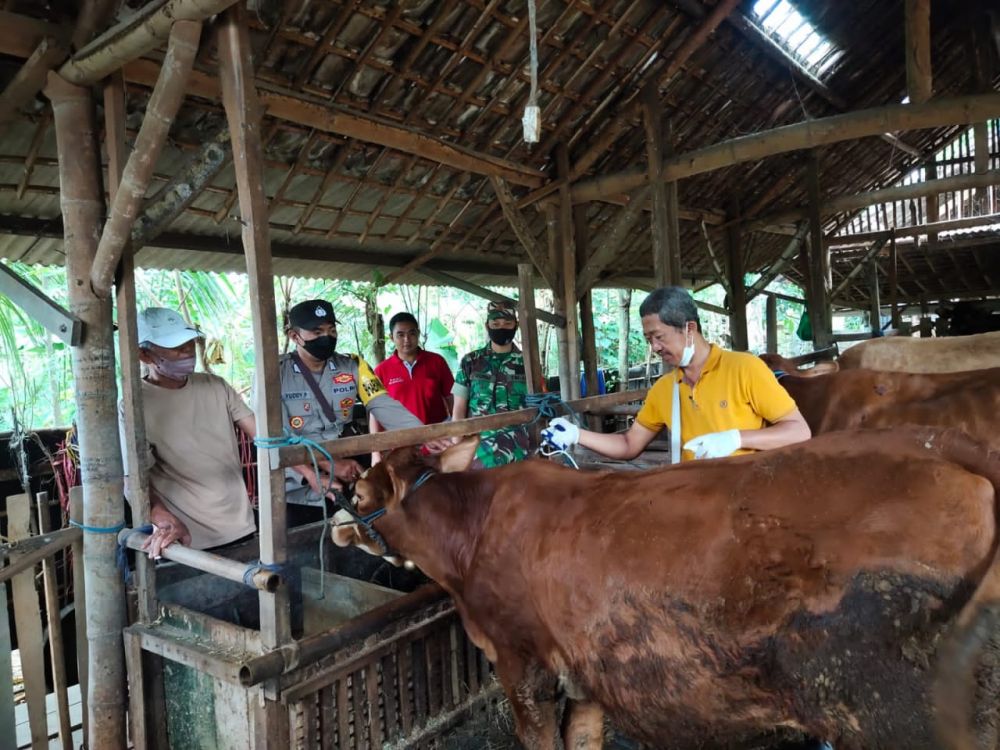 Bhabinkamtibmas Polres Tulungagung lakukan pendampingan satgas PMK