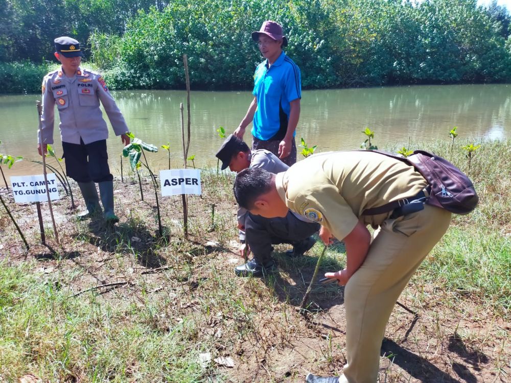 Forkopimda Tulungagung peringati hari Mangrove sedunia