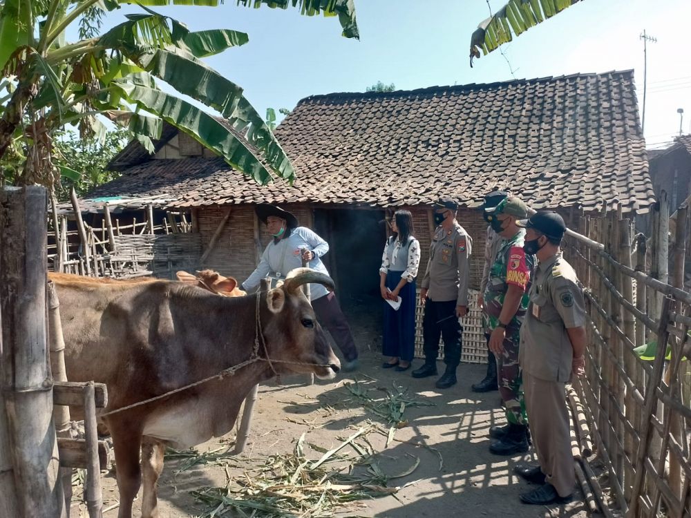 Polresta Mojokerto gencarkan Vaksin PMK