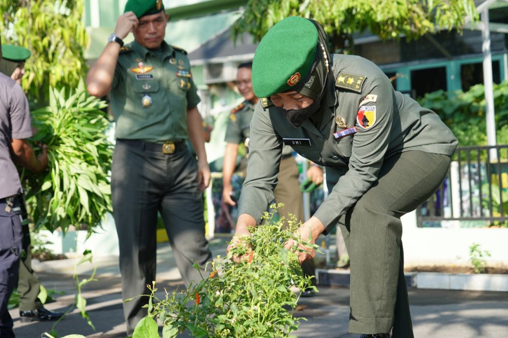 Prajurit dan PNS Korem 084/BJ saat Penen sayuran akuaponik