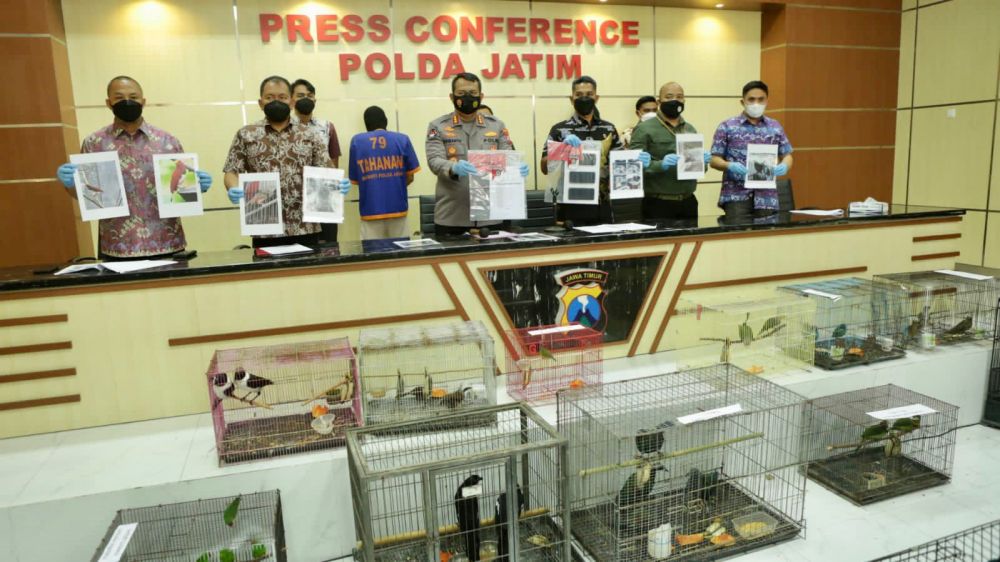 Ditreskrimsus Polda Jatim Bongkar Praktek Jual-beli dan Amankan 304 Satwa Dilindungi