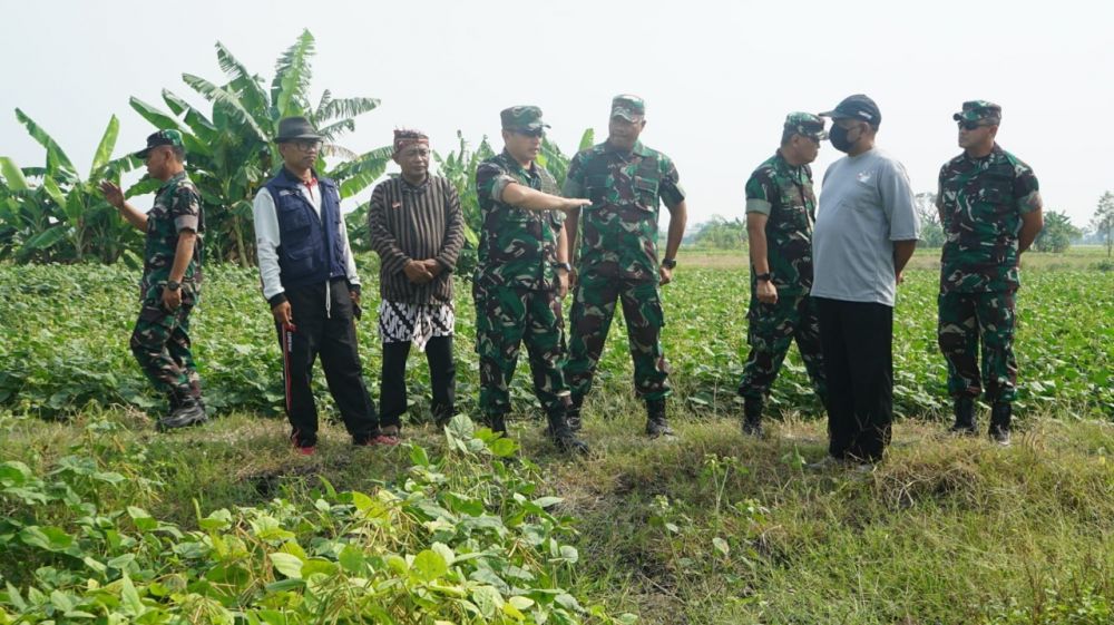 Brigjen TNI Piek Budyakto saat tinjau lahan swasembada pangan