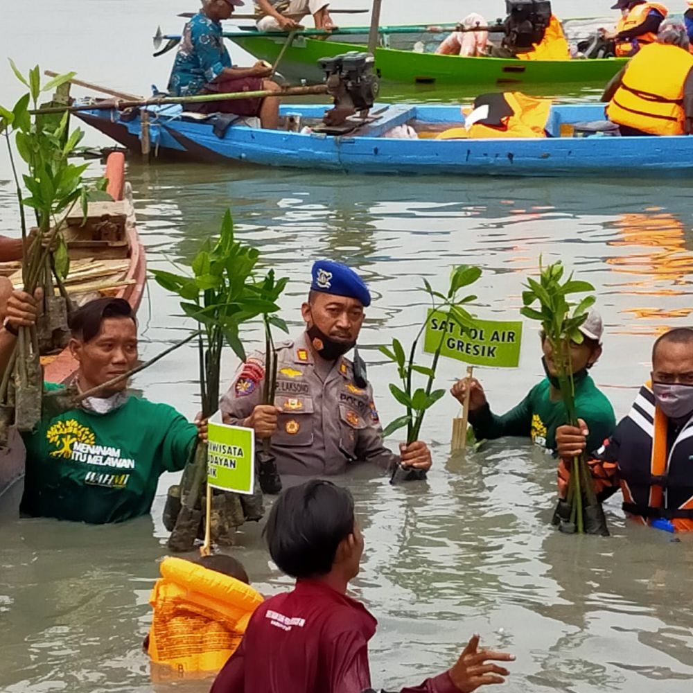 Polairud Polres Gresik Peduli Lingkungan, Tanam Mangrove di Hari Perhubungan Nasional