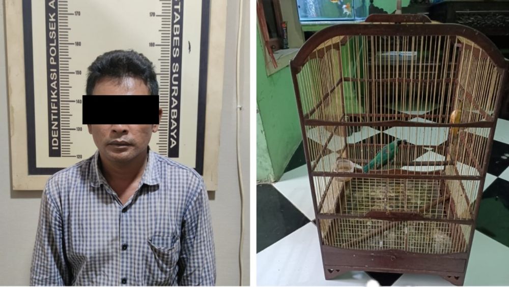 Polsek Asemrowo Bekuk Pencuri Burung Cucak Ijo