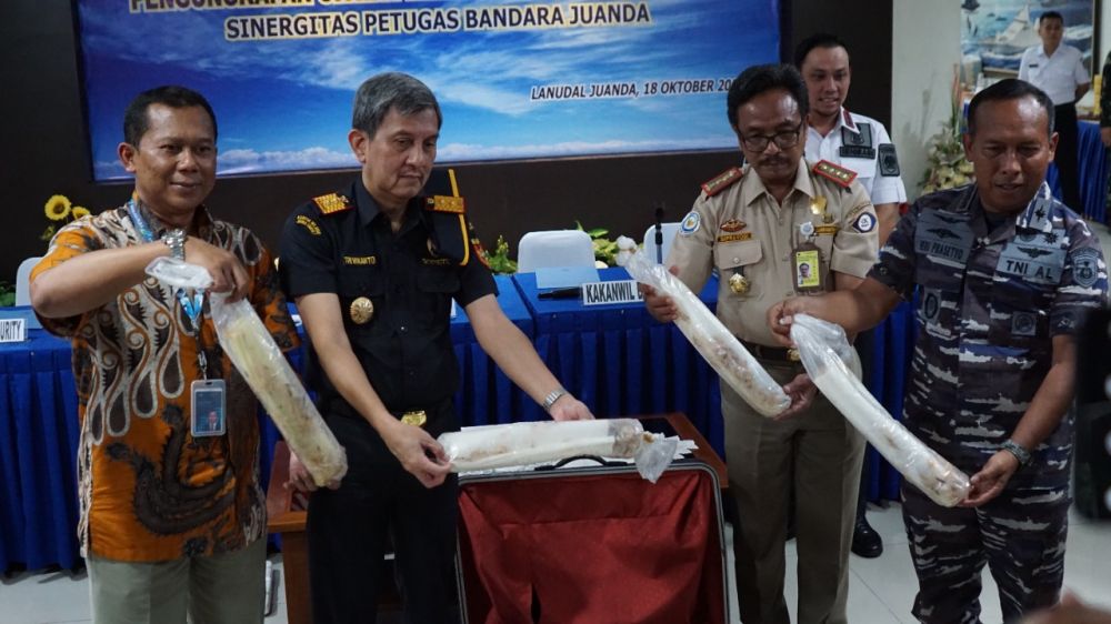Petugas gabungan bandara Juanda amankan benih lobster