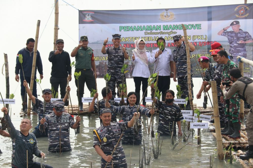 Siswa Suspa Potmar tanam mangrove di Romokalisari