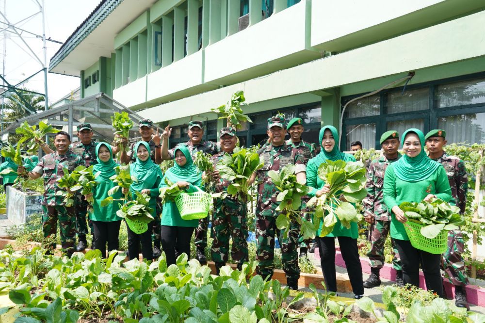 Panen sayuran dari teknologi aquaponik di Korem 084/BJ