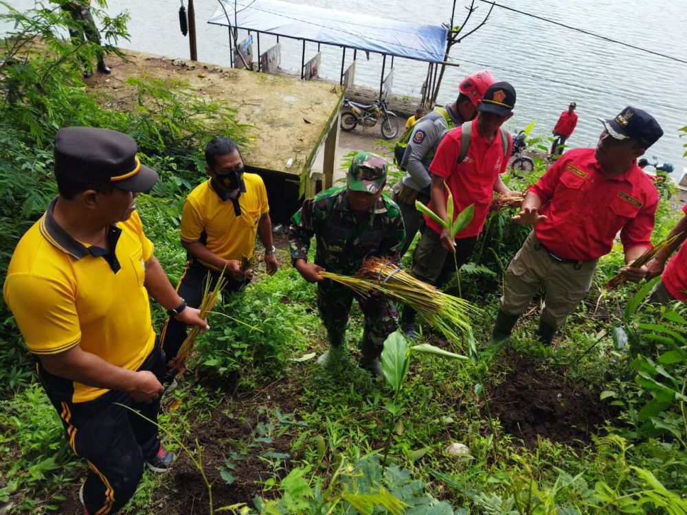 Penanaman suket Vertiver di bekas longsor kawasan hutan