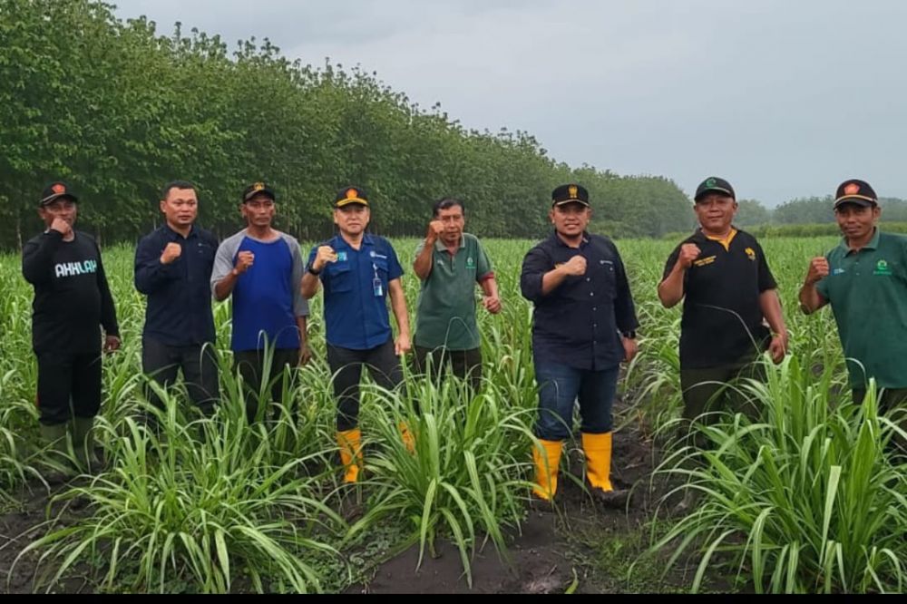 ADM perhutani Jombang terkait penanaman tebu