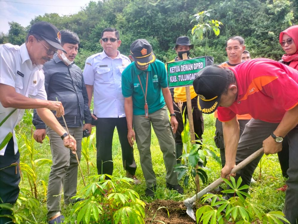 Perhutani Kediri tanam pohon Plances bersama stakeholder