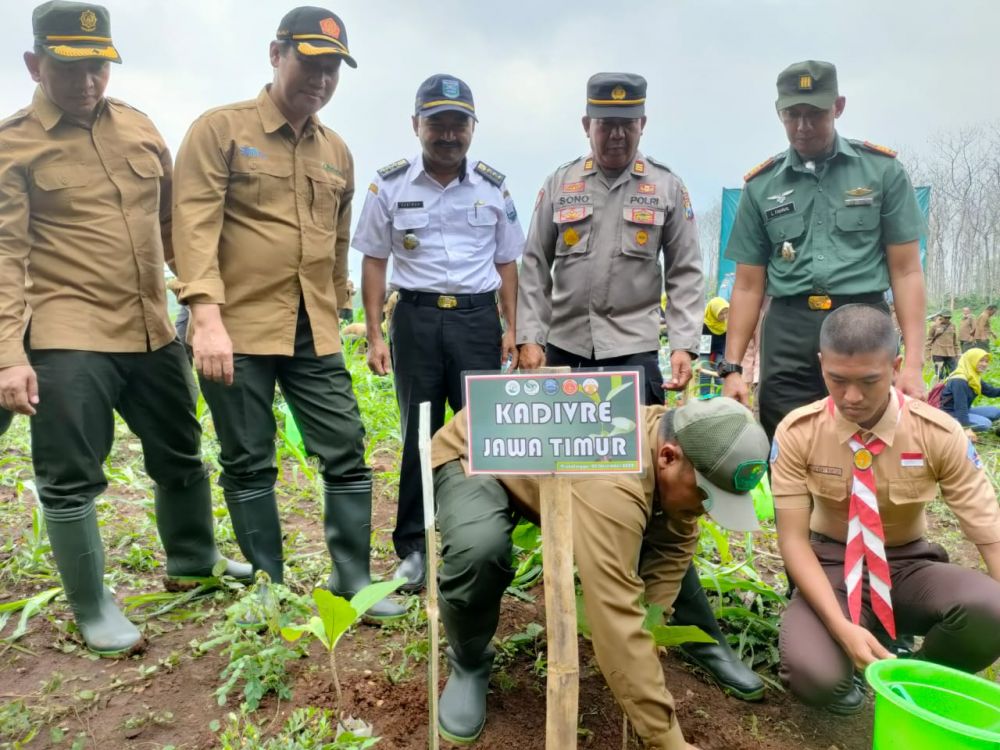 Kadivre Jatim bersama stakeholder tanam pohon Jati dan Mahoni