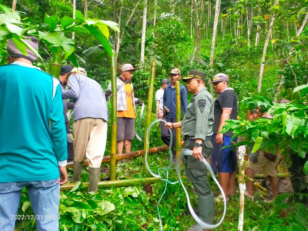 Perhutani KPH Probolinggo Buat Tanggul Penahan Longsor Bencana Alam