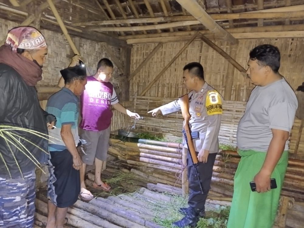 Tempat kandang ternak sapi yang di curi