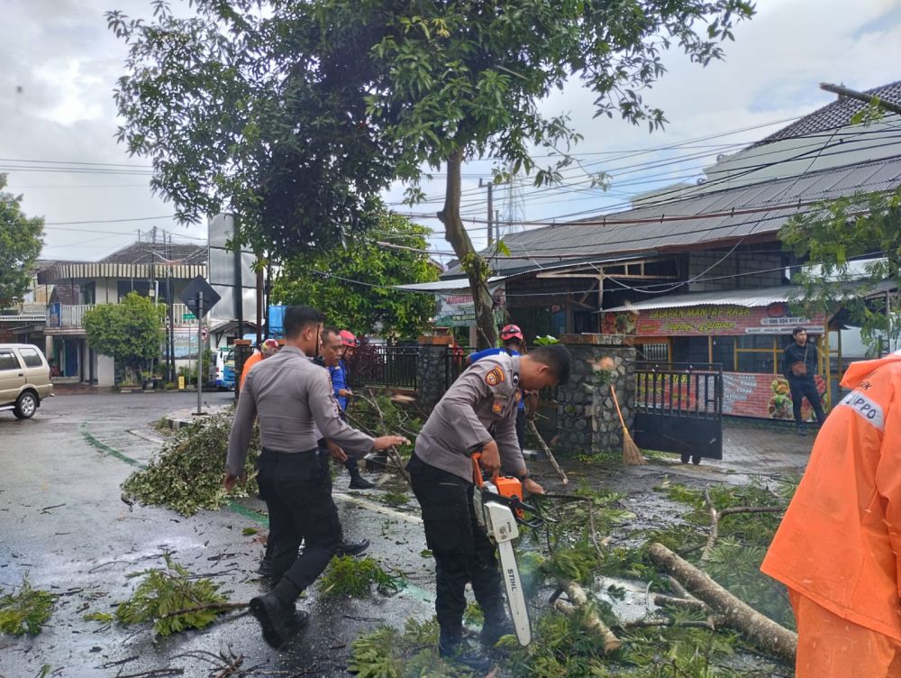 Polres Trenggalek Gercep Evakuasi Pohon Tumbang