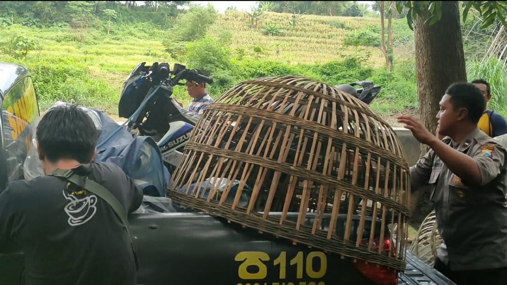 Polisi grebek tempat judi sabung ayam