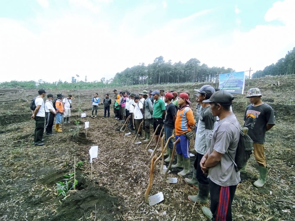 Perhutani KPH Probolinggo bersama dinas terkait hijaukan hutan Burno
