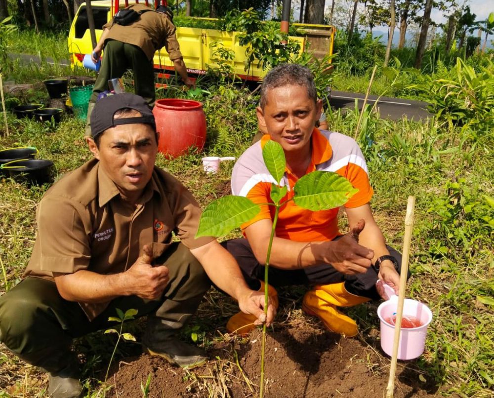 Perhutani gandeng PT KTI Sedekah Bumi