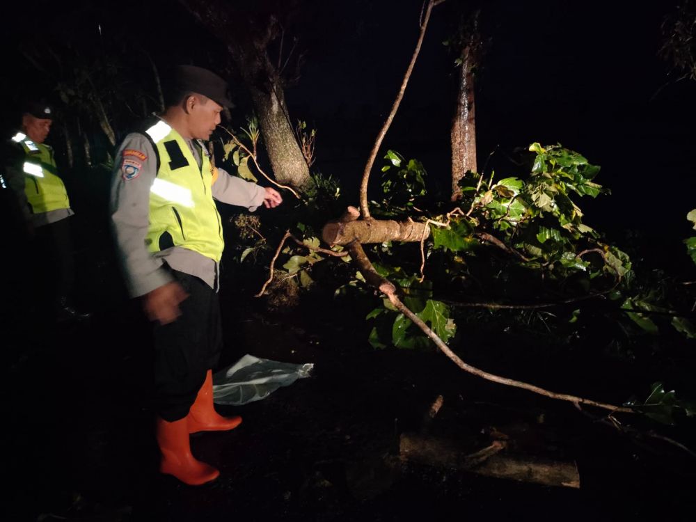 Polres Ngawi evakuasi pohon tumbang