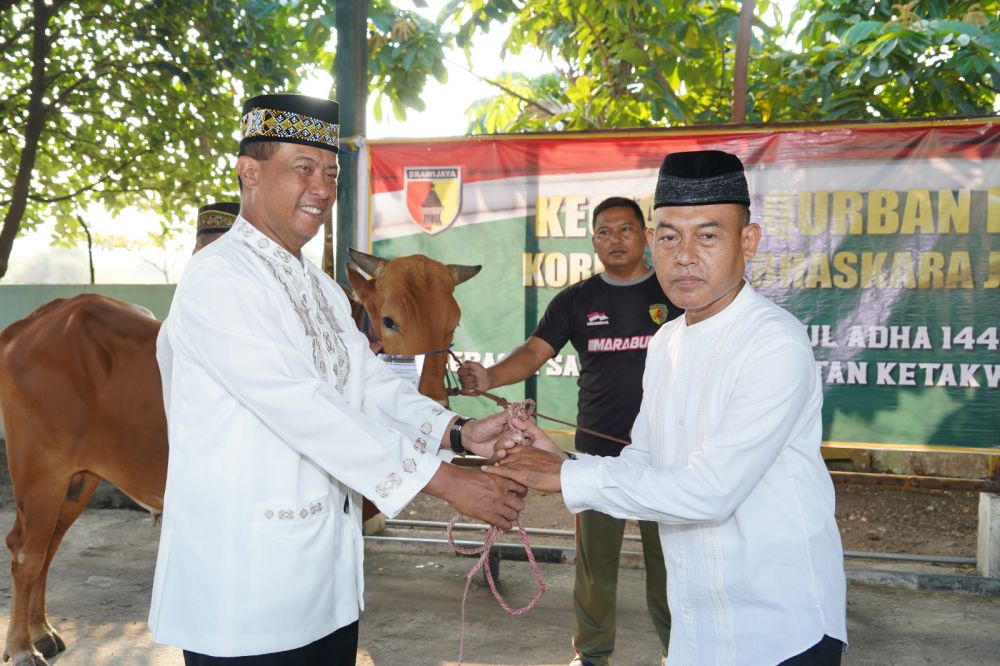 Danrem 084/BJ Serahkan Hewan Qurban saat Idul Adha
